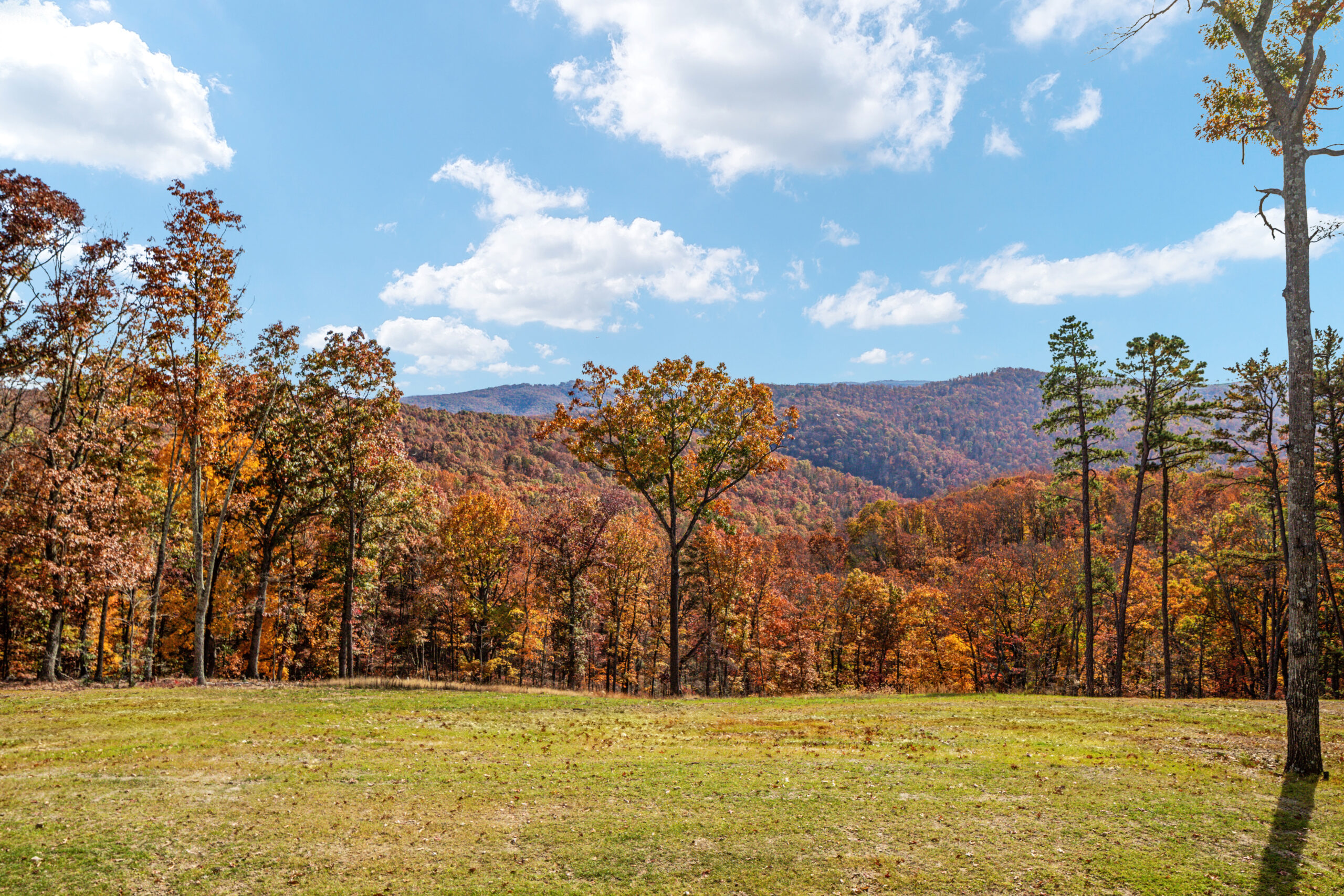 Image gallery marquee